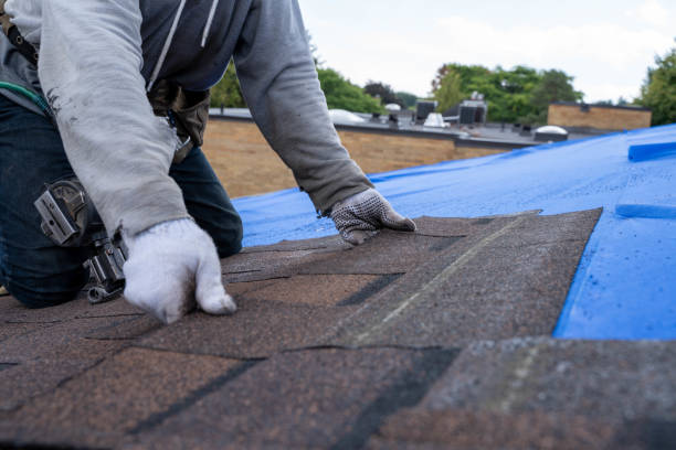 Gutter Installation and Roofing in Beverly Hills, FL