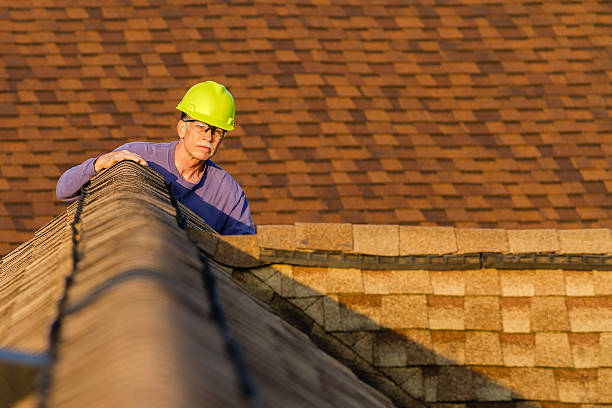 Best Storm Damage Roof Repair  in Beverly Hills, FL